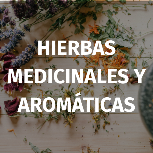 Ajo Chilote Deshidratado